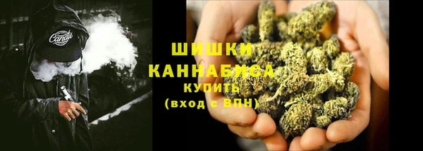 стаф Россошь