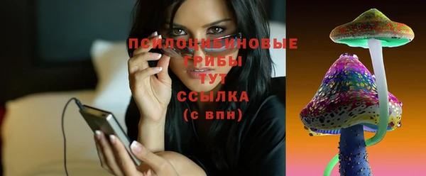 прущие грибы Балахна