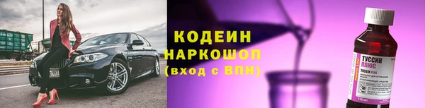 прущие грибы Балахна