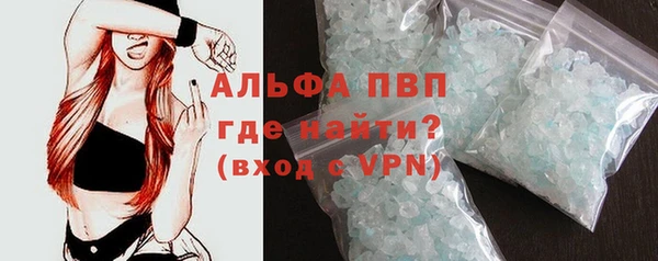 прущие грибы Балахна